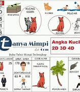 Apa Itu 2D Togel Gambar